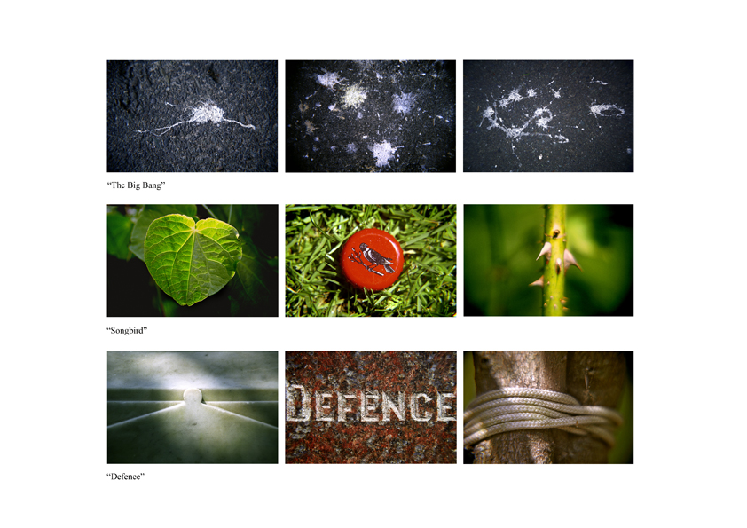 photographic images email